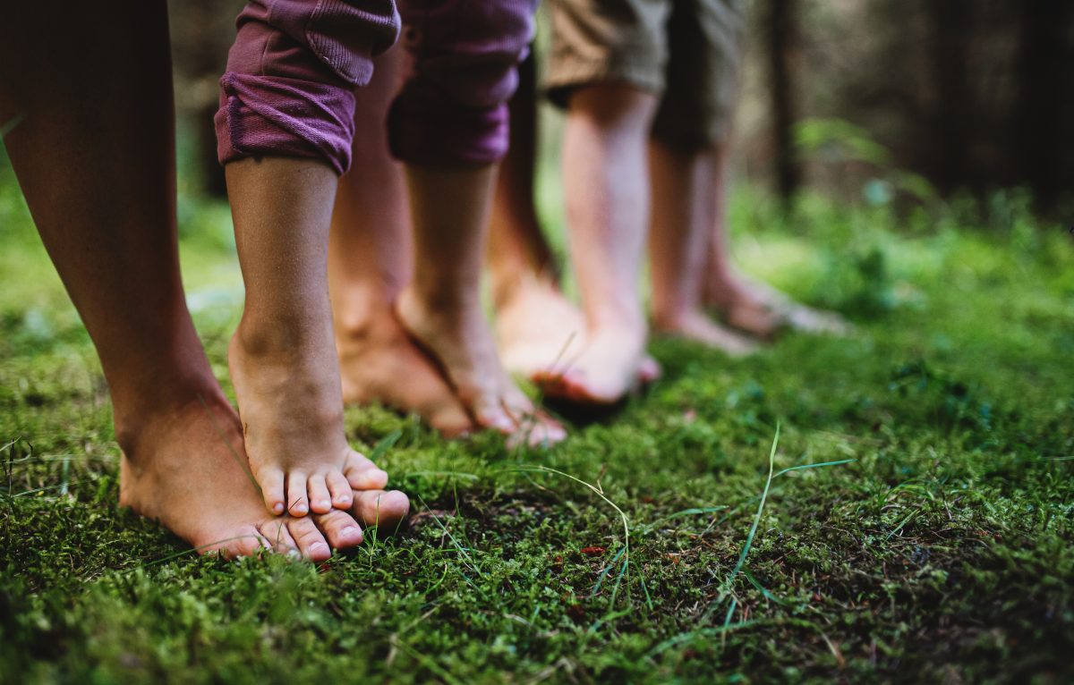 Bare feet of family with small children standing barefoot outdoors in nature, grounding and forest bathing concept. © foire comtoise 
