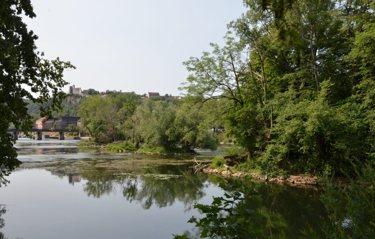 Parc Micaud © Lilou B.