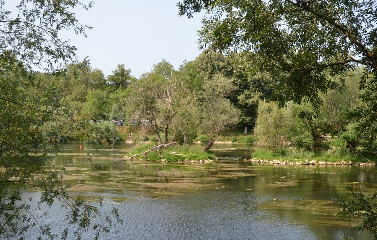 Parc Micaud © Lilou B.