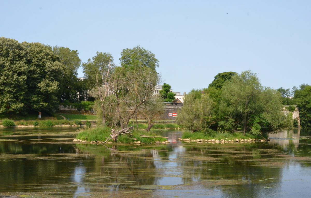 Parc Micaud © Lilou B.