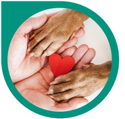 L'association propose un service de pension et des services à domicile pour lutter contre l’abandon © -	Association LIen avec l'Animal et contre l'Exclusion Sociale 