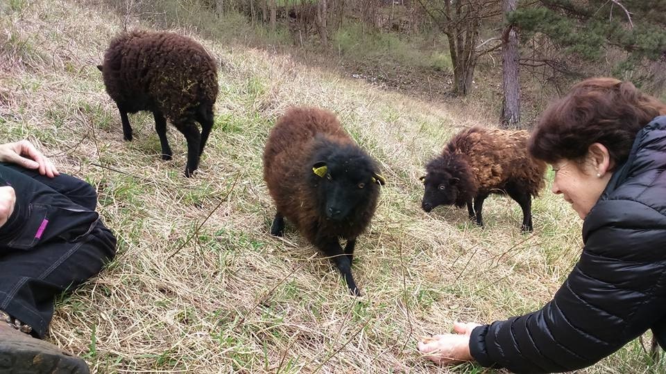  © Terrasses des collines bisontines et d’ailleurs