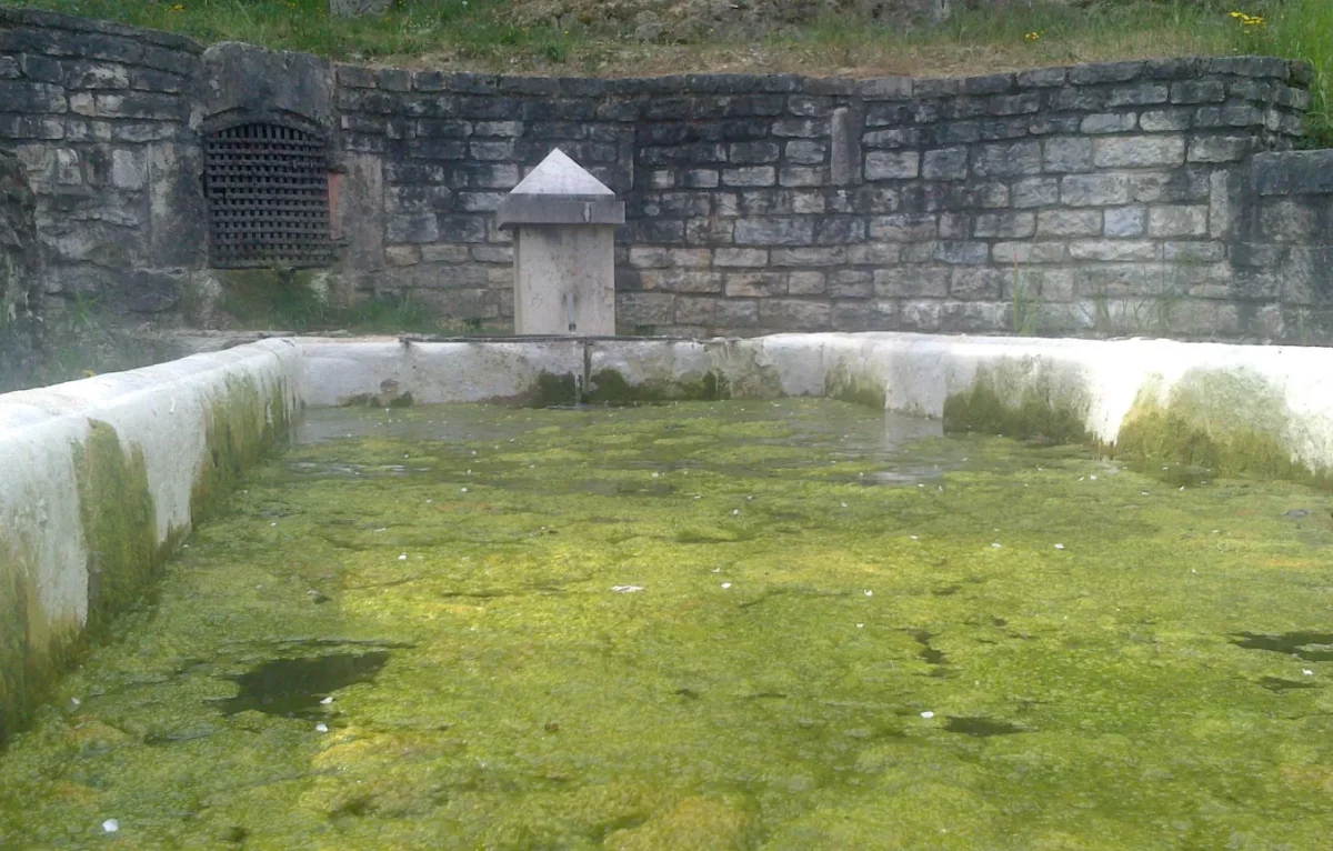 Phénomène d'eutrophisation (invasion d'algues) à la Fontaine aux vipères à Ornans, avril 2020 © collectif SOS Loue et Rivières comtoises http://www.soslrc.com/