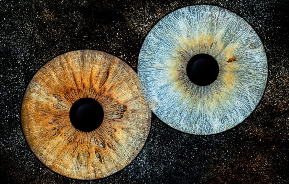  © Nathanaëlle Denizot