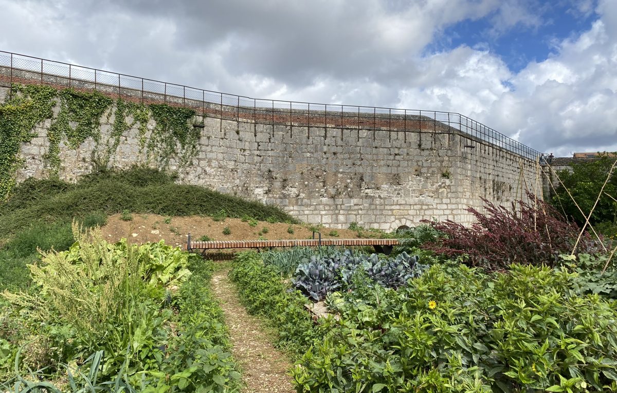 Jardin Vauban à la Citadelle de Besançon, 07 aout 2023  © ©Sophie Lardies 