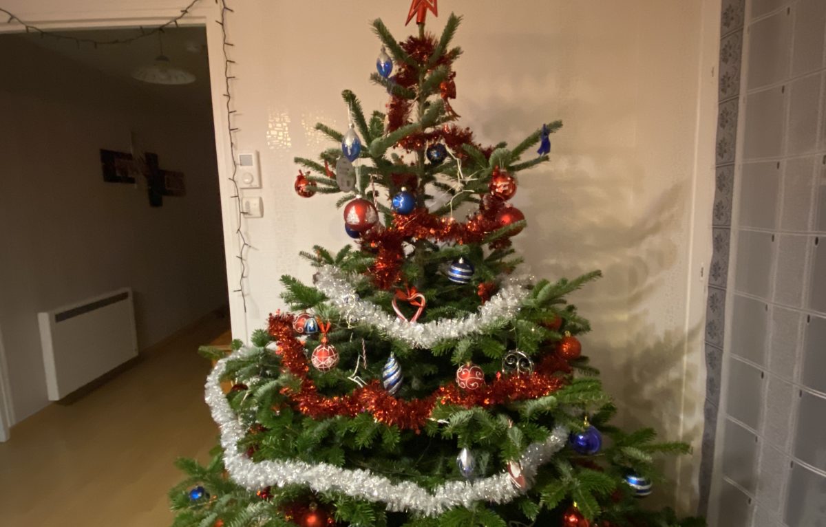 Sapin de noël de Sylvie et Gérard de Seloncourt ©