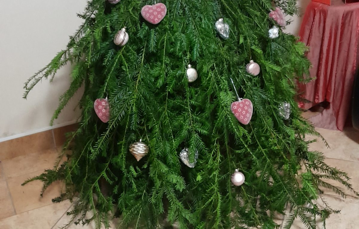 Le sapin de Sylvie de Voray-sur-l'Ognon. ©