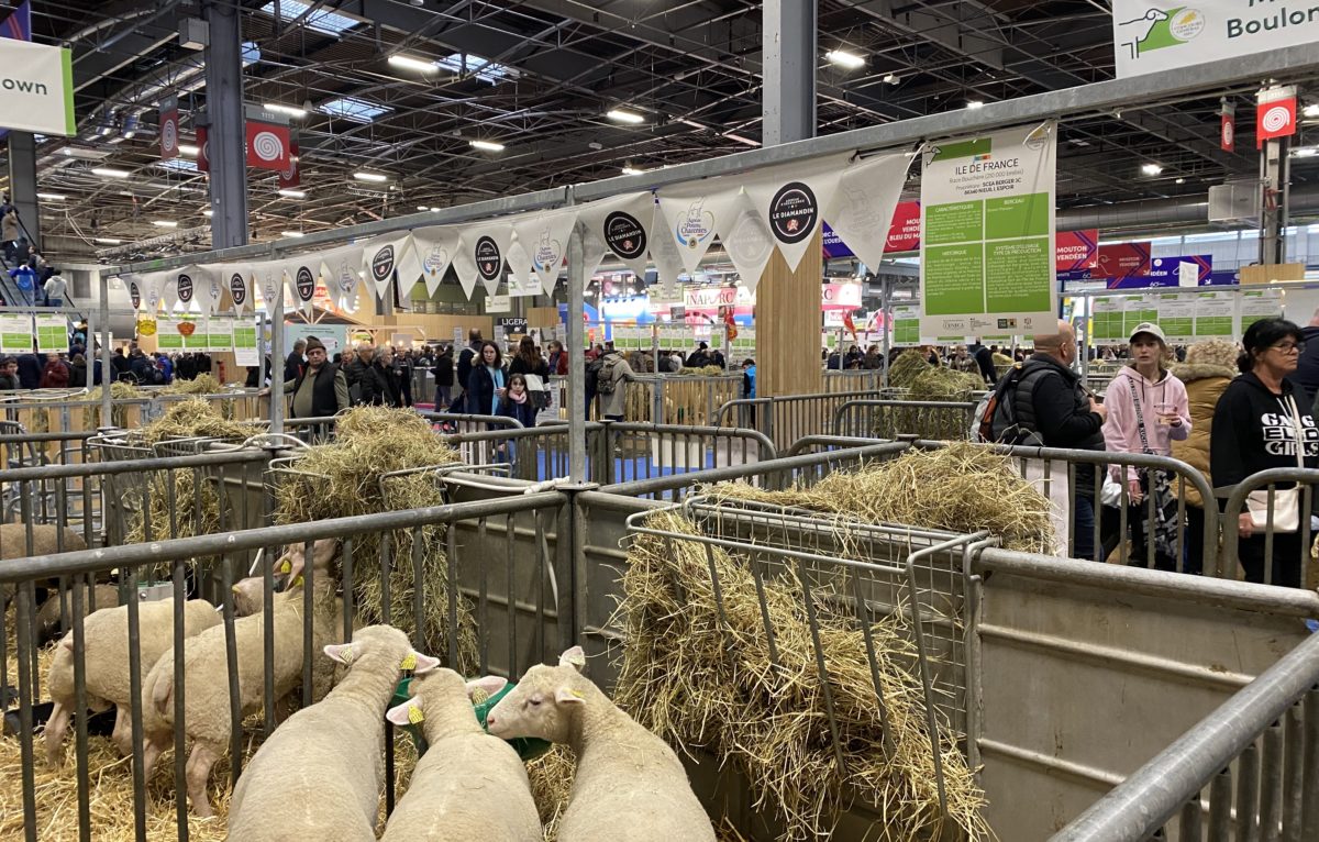Salon international de l'agriculture à Paris 2024 &copy; Hélène Loget