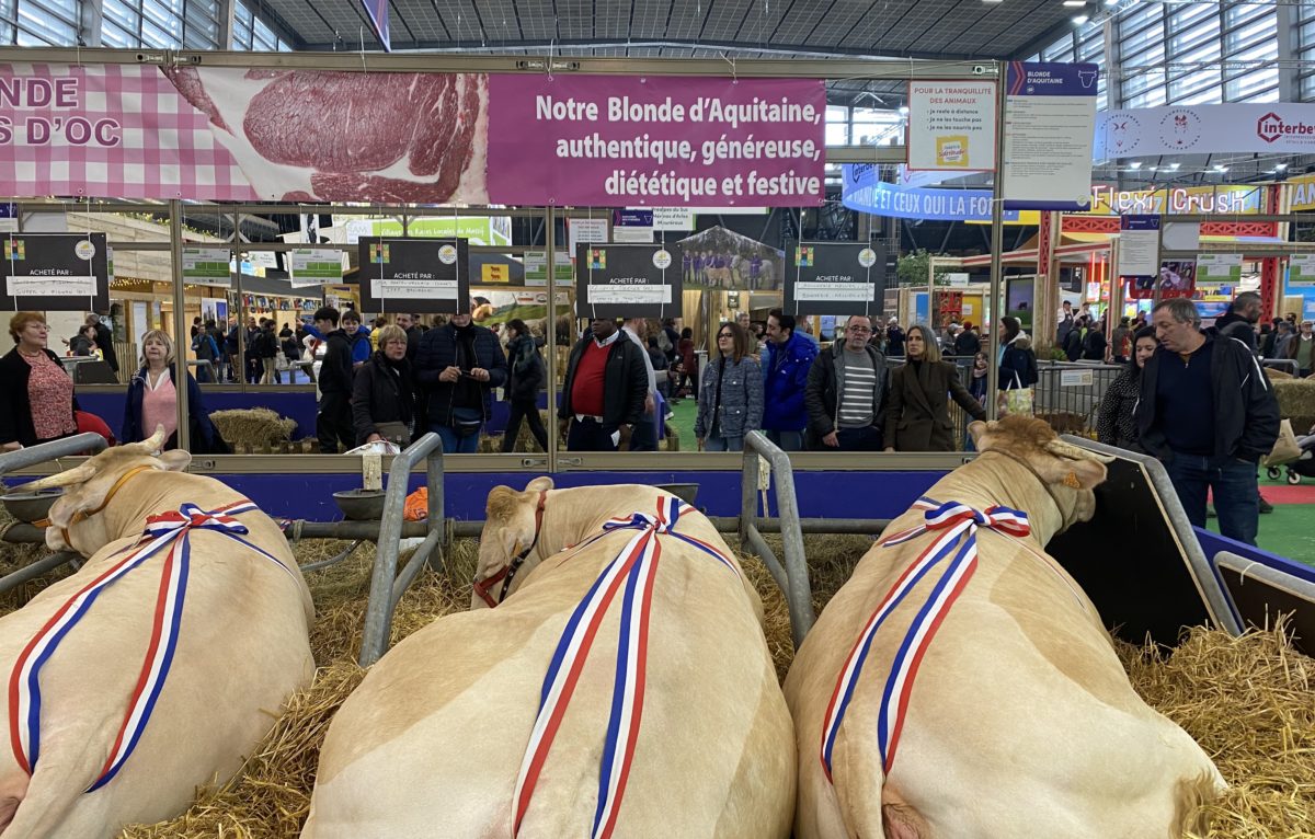 Salon international de l'agriculture à Paris 2024. © Alexane Alfaro