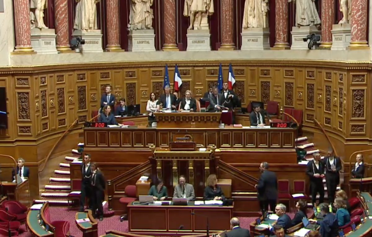  © Capture vidéo diffusée sur X (ex-twitter) du Sénat