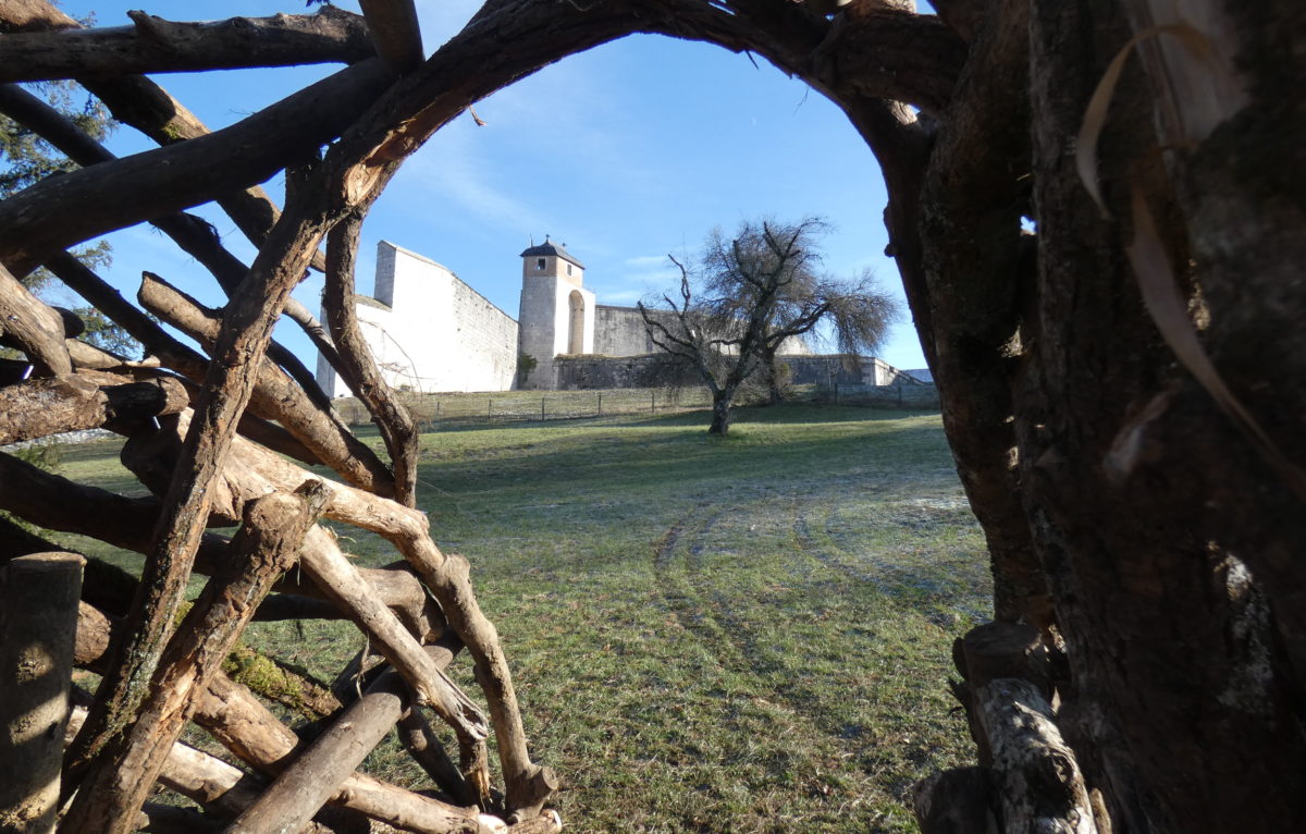 Citadelle de Besançon - Le boa de bois © Citadelle de Besançon