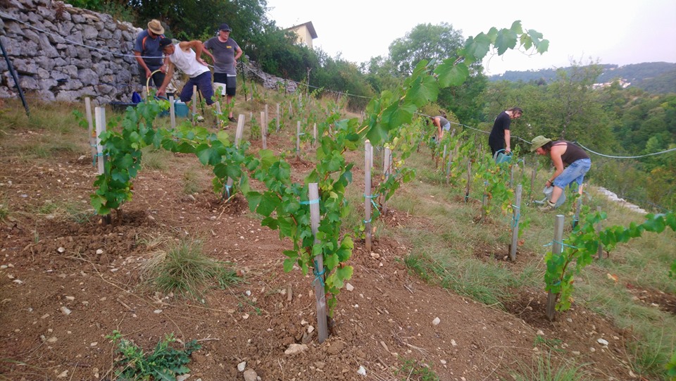  © Terrasses des collines bisontines et d’ailleurs