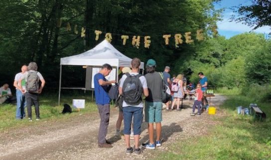 © back to the trees / 2023
