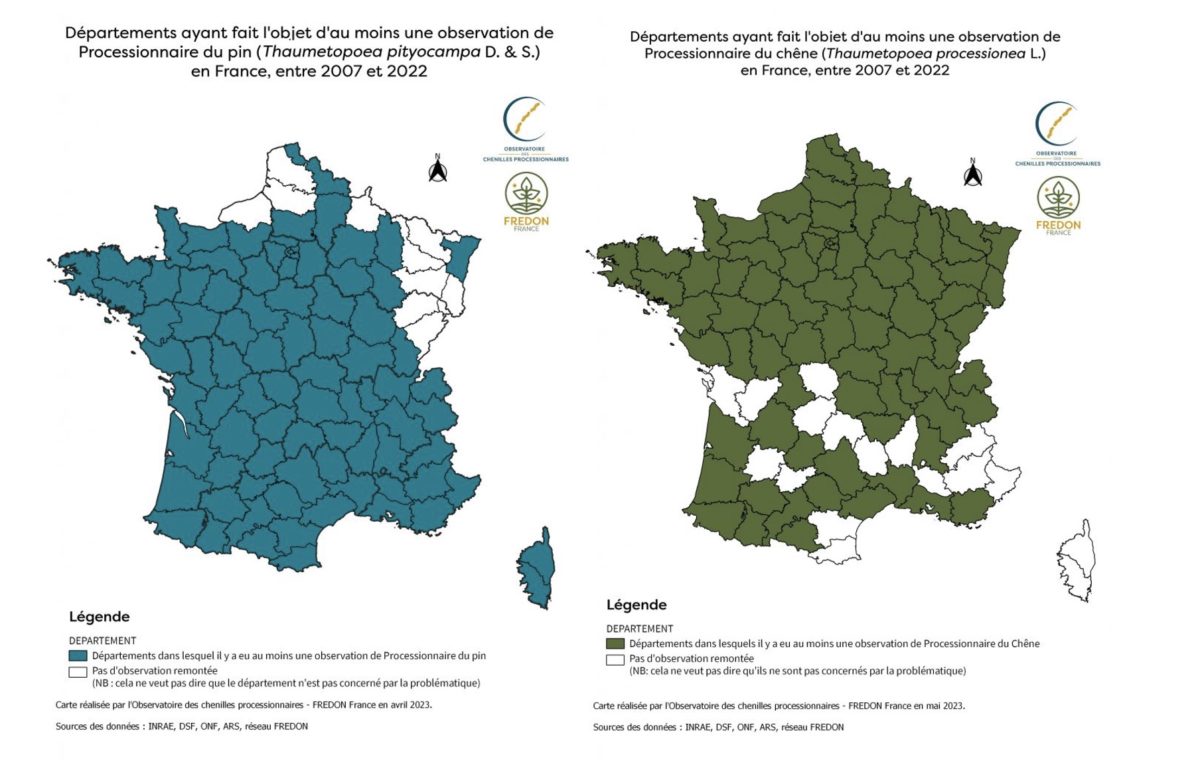 © INRAE, DSF, ONF, ARS, réseau FREDON