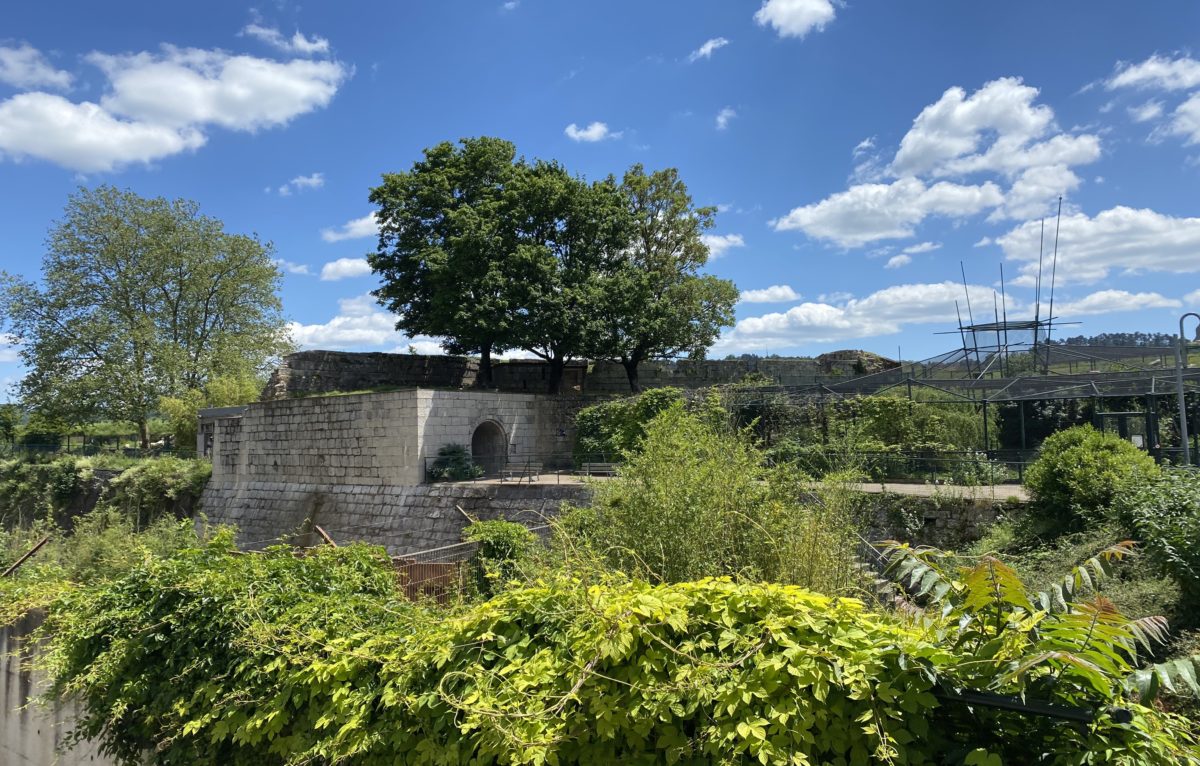 Parc zoologique de la Citadelle de Besançon  © Hélène Loget