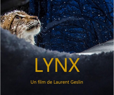 Screenshot &copy; Affiche officielle du film / DR PROJECTION A LOCARNO PIAZZA GRANDE 
