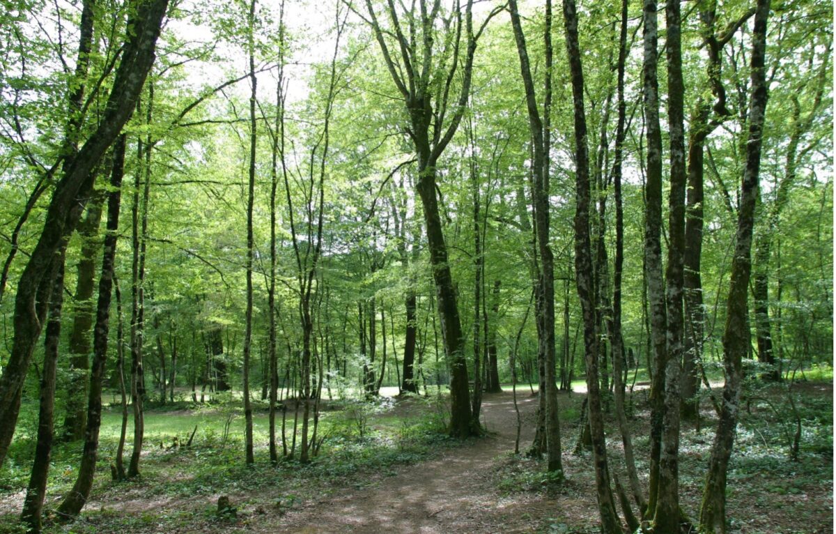  © Ville de Besançon