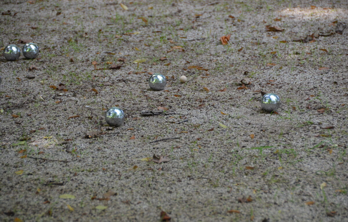  &copy; Alexane Alfaro