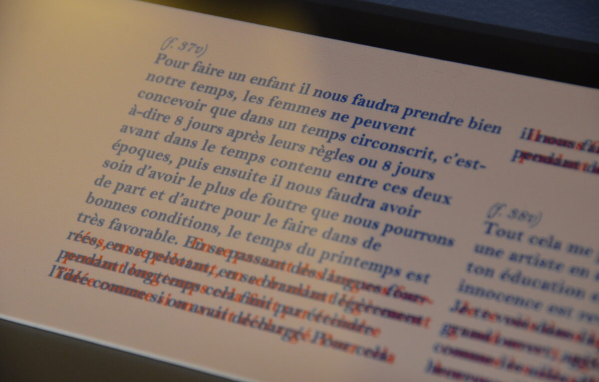  © Élodie R.