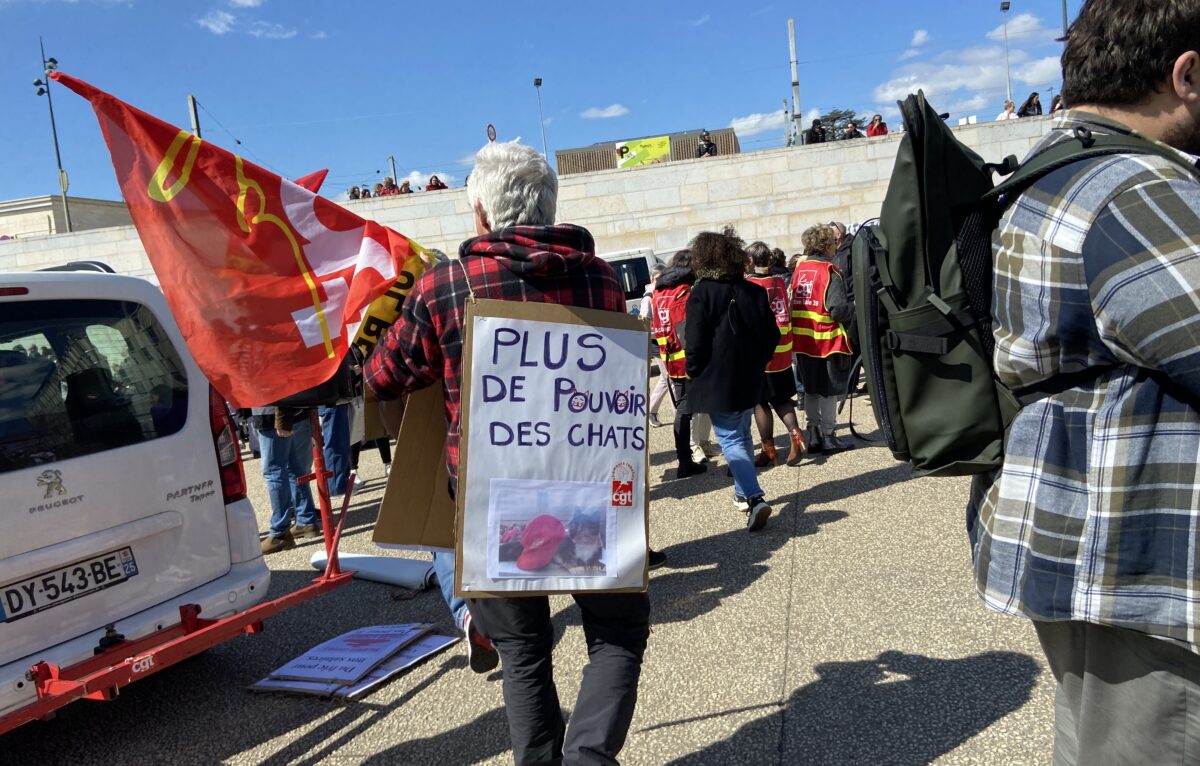 © Élodie R.