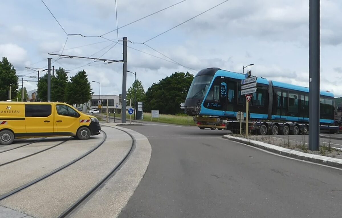  © Alerte témoin  / DR