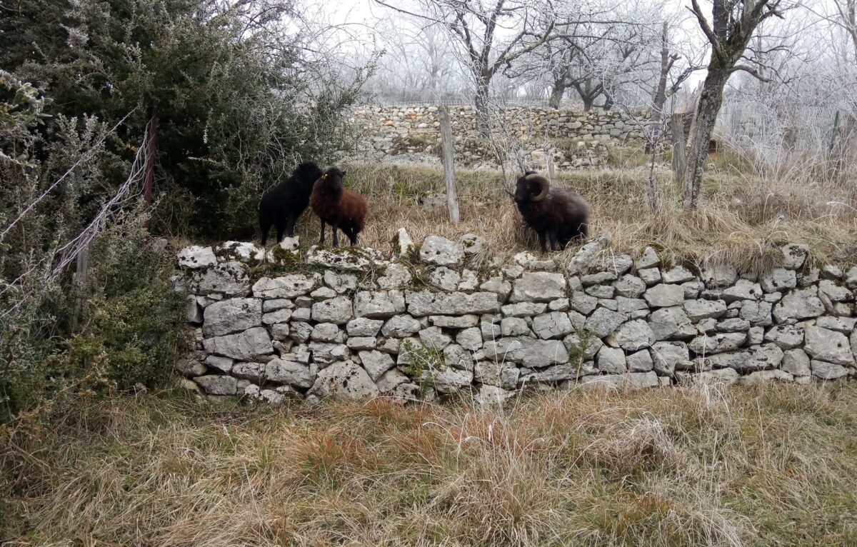  © Terrasses Des Collines Bisontines