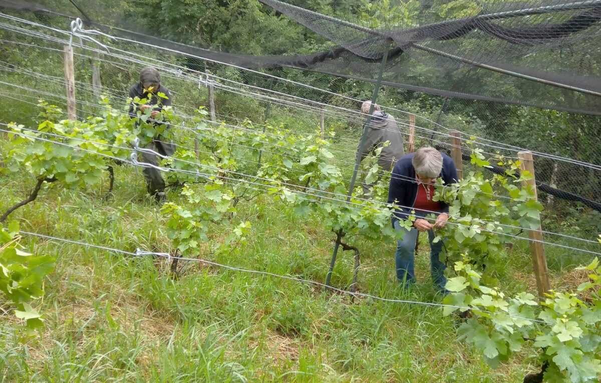  © Association Terrasses des Collines