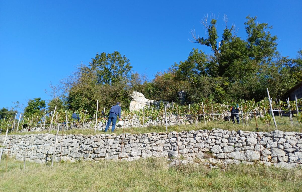  © Association Terrasses des Collines