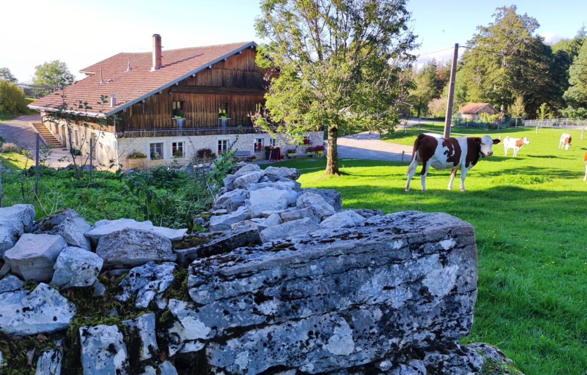  © Auberge Ferme du Tartot