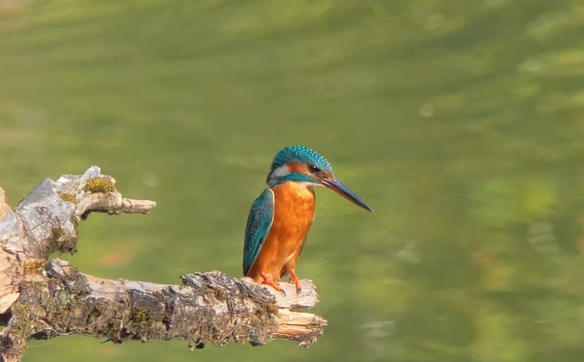  © Saysamay Soubinh