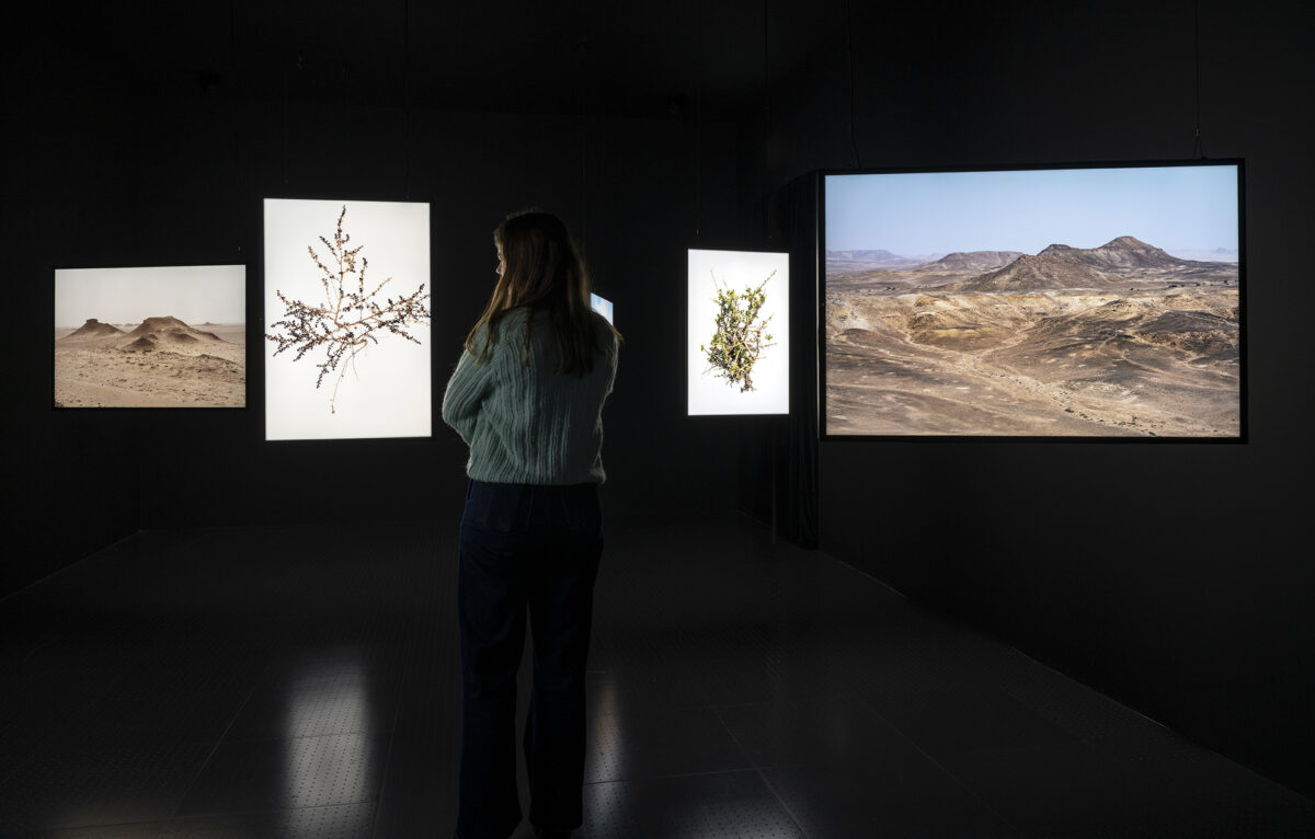 Vue de l’installation Al Amakine dans l’exposition Apre?s la fin. Cartes pour un autre avenir au Centre Pompidou-Metz.
© Abdessamad El Montassir / ADAGP, Paris
 © Marc Domage 