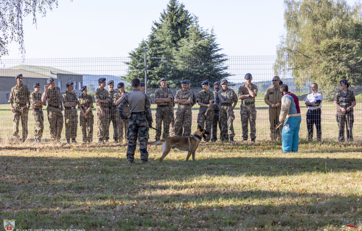 La Base aérienne 116 de Luxeuil- Saint Sauveur a l'honneur d'accueilir les cadets de la Royal Air Force du lundi 25 aout au 29 aout 2025.
Pendant cette semaine riche en activité, le programme est composé de :
- visite des différentes unités de la BA116
- accrobranche + visite d'une confiserie locale
- visite 1er régiment de tirailleurs d'Epinal
-visite du cimetière Americain d'Epinal
-Rencontre de nos EAJ avec les cadets
-visite de la ville de Luxueil-les-Bains (musée) + musée de la base. © BA 116