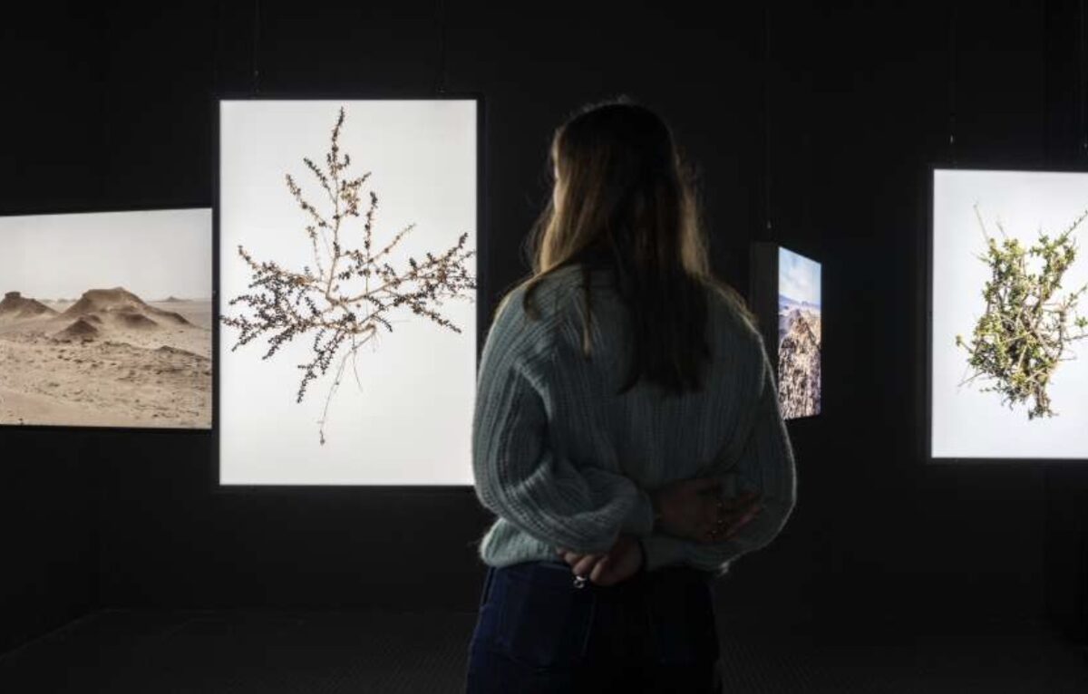 Vue de l’installation Al Amakine dans l’exposition collective Après la fin. Cartes pour un autre avenir au Centre Pompidou-Metz. © Abdessamad El Montassir / ADAGP, Paris. © Marc Domage