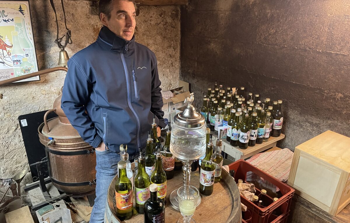 François Aymonnier, La Semilla Aymonnier aux Fourgs. © Alexane Alfaro
