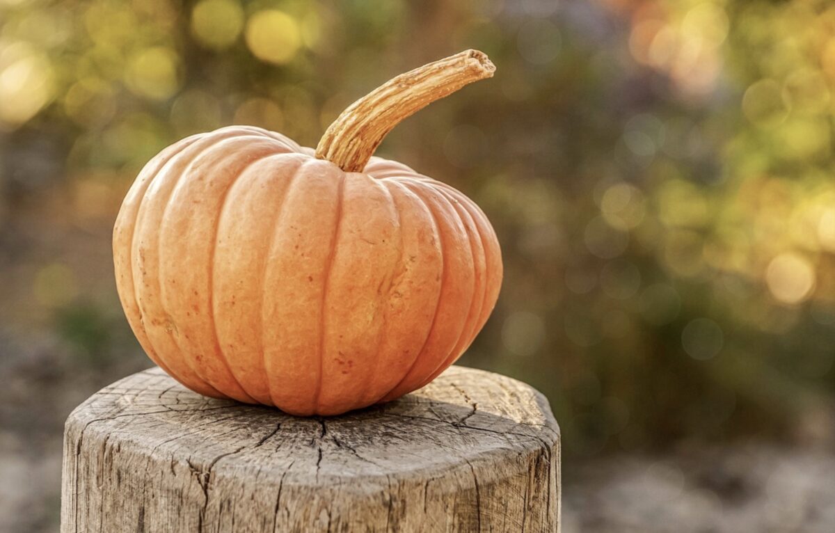  © Harvest/Pixabay