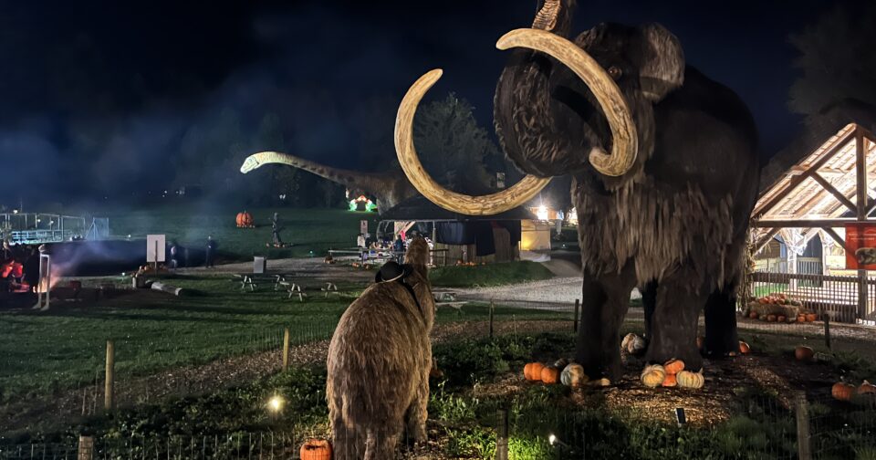 Dragons et créatures fantastiques : la saison d’Halloween revient au Dino Zoo • macommune.info