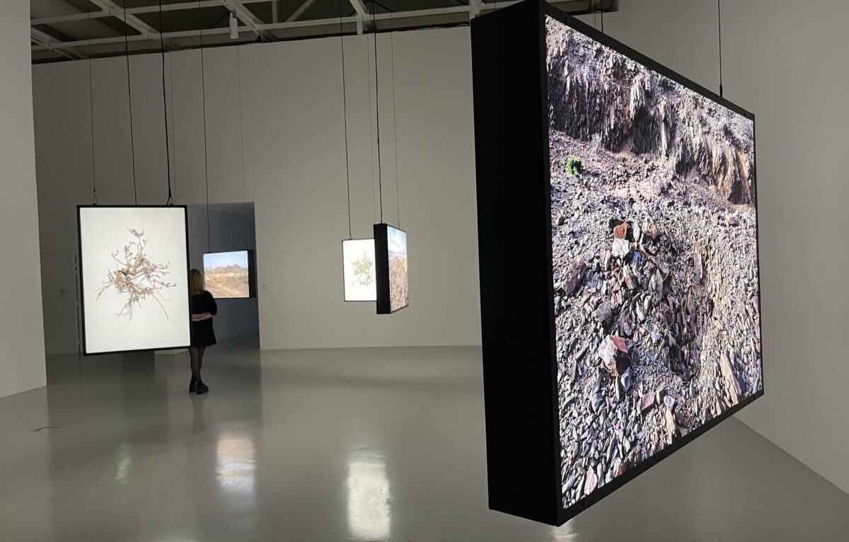 Al Amakine - Installation photographique et pièce sonore - Abdessamad El Montassir © Alexane Alfaro