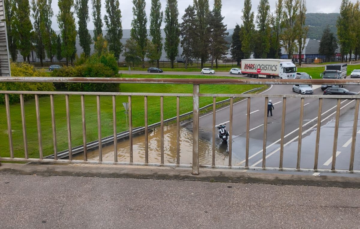  © Alerte témoin BV