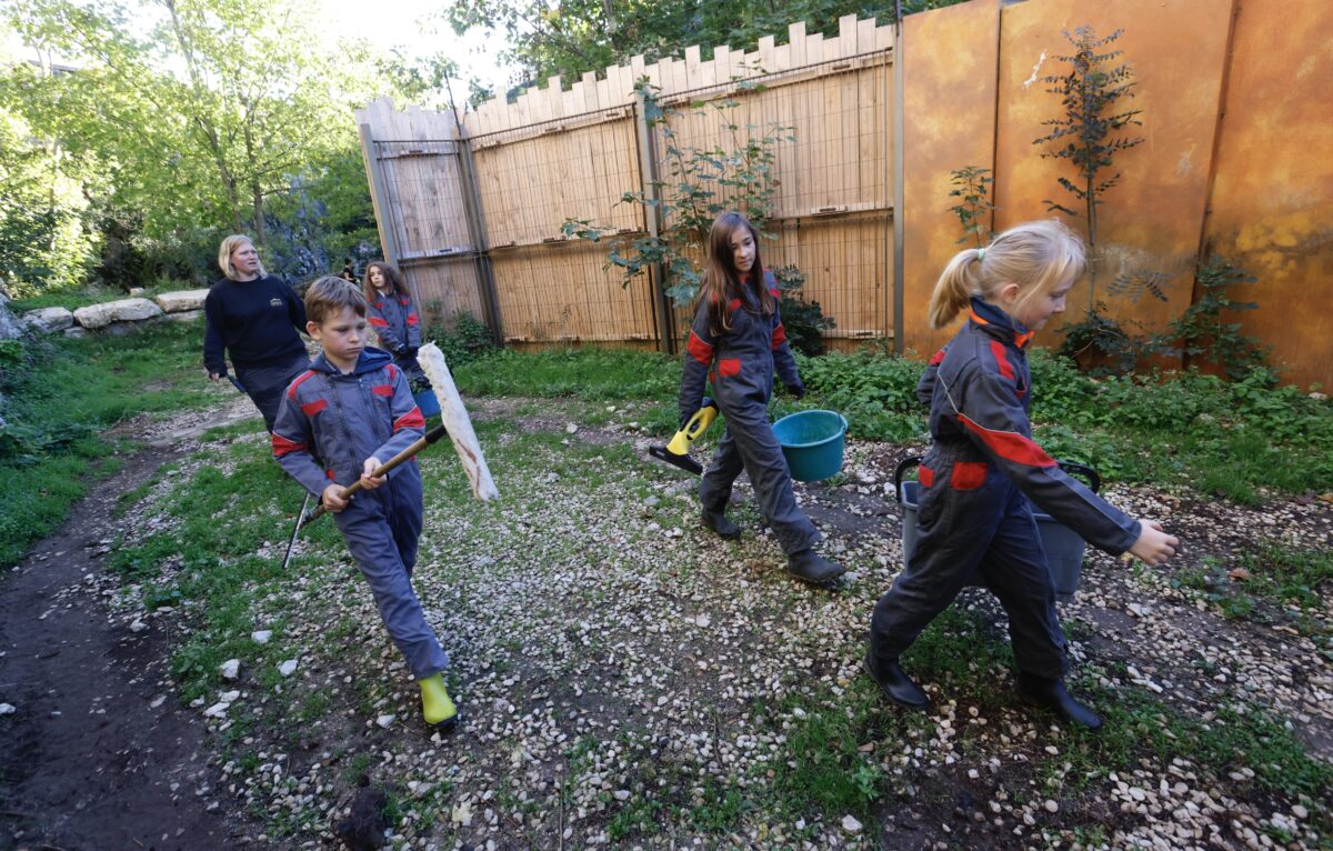  © Jean-Charles Sexe