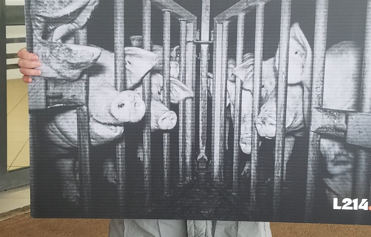  &copy; L214 Besançon