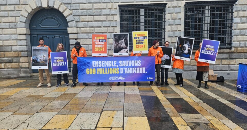 Des militants de L214 lors d'une action à Besançon