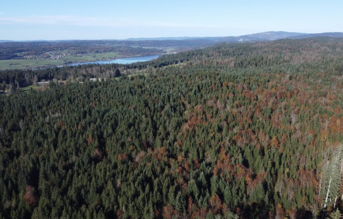  © Hôtel**** Spa Les Rives Sauvages