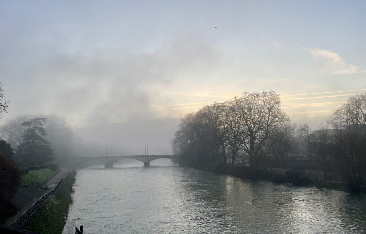  &copy; Alexane Alfaro