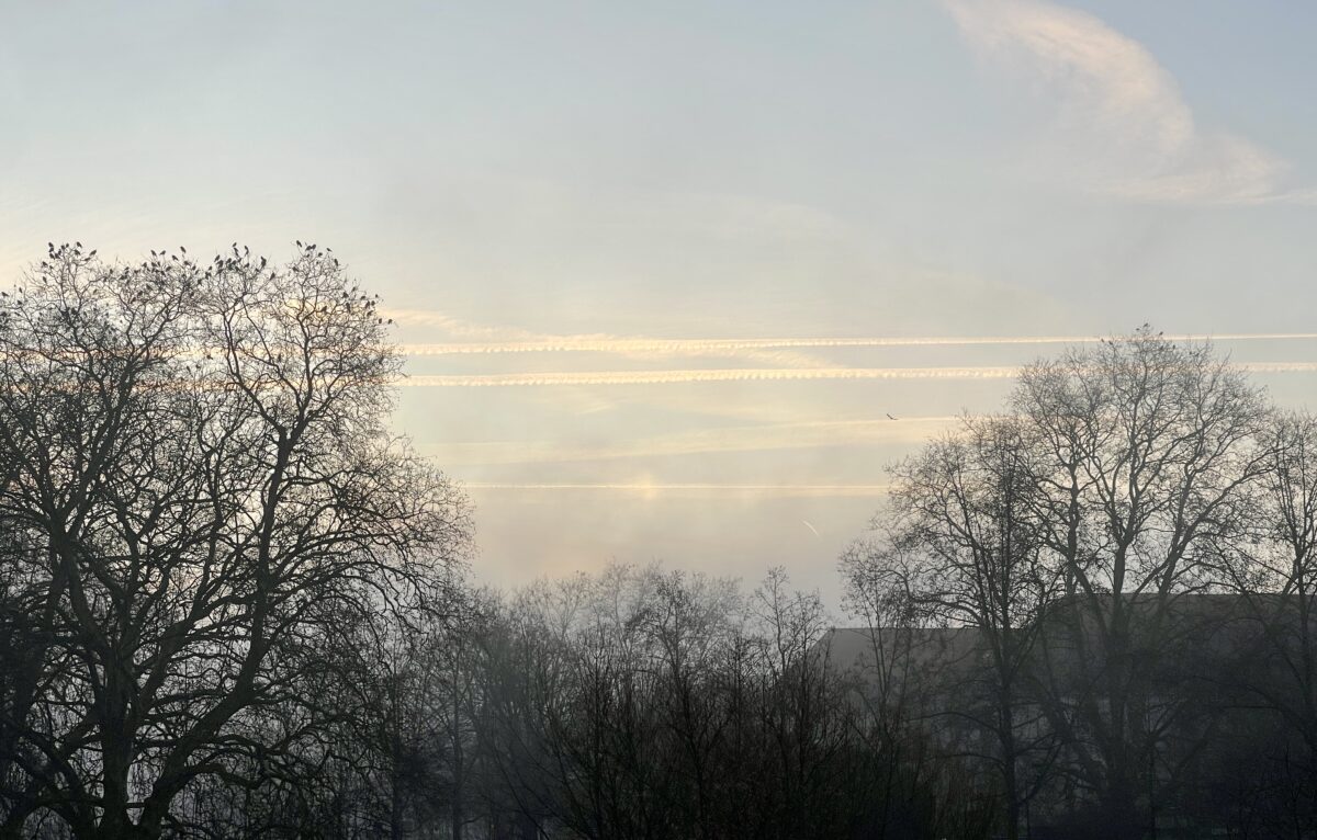  &copy; Alexane Alfaro