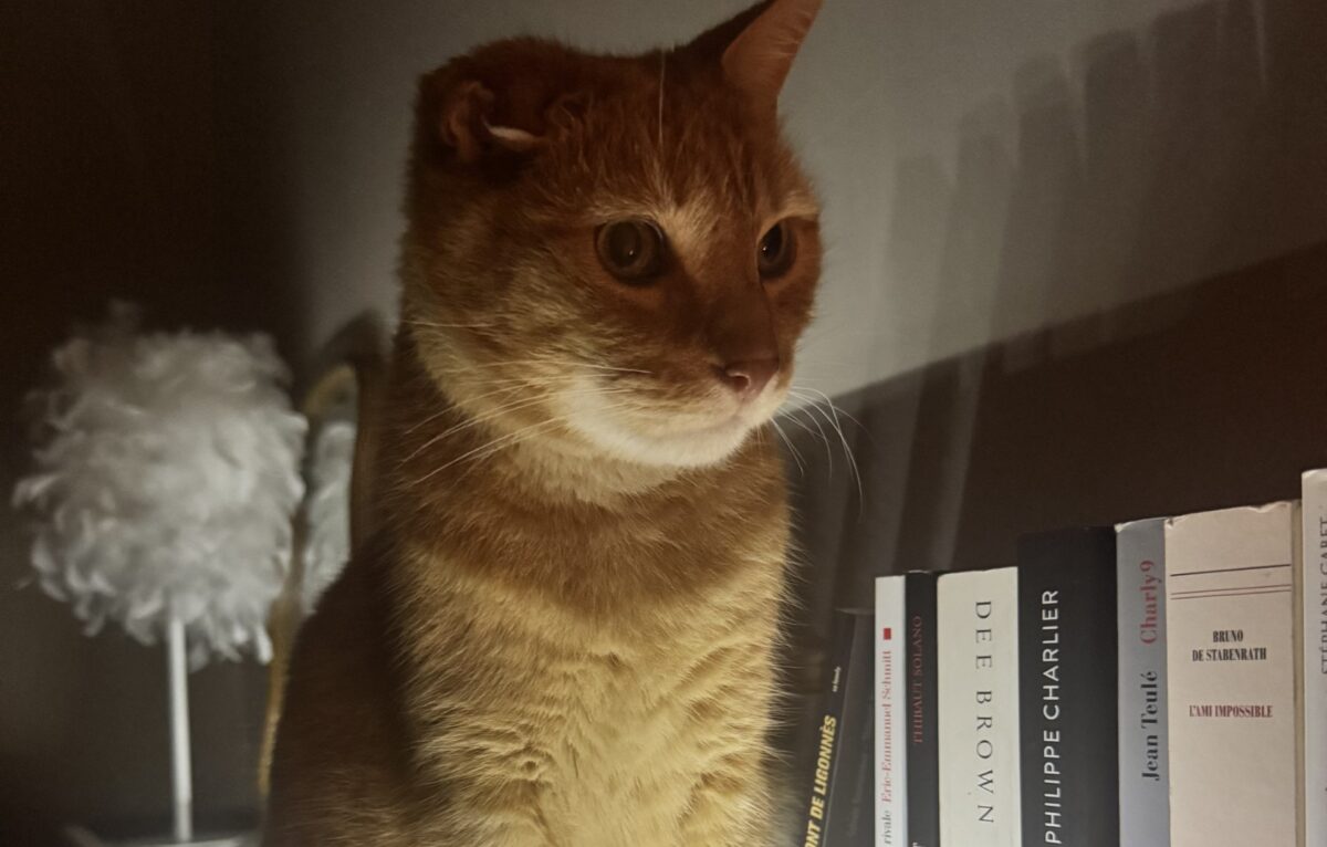 Harry dit Mimi © DR