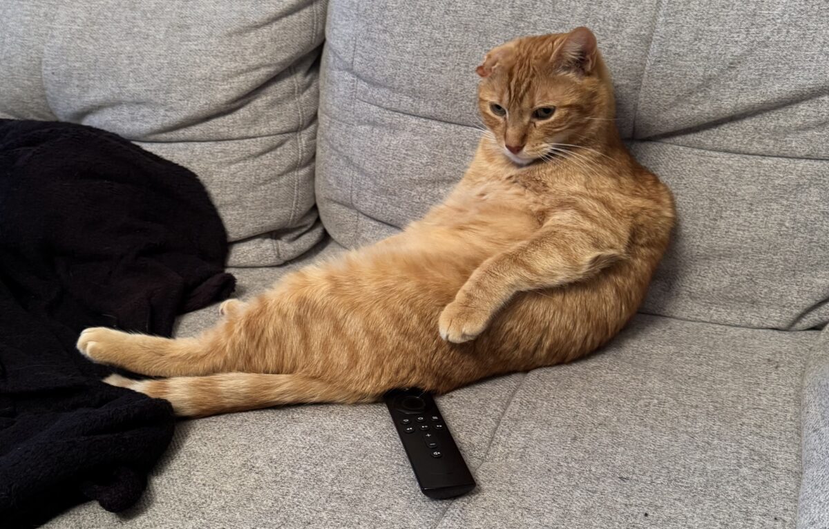 Harry dit Mimi © DR