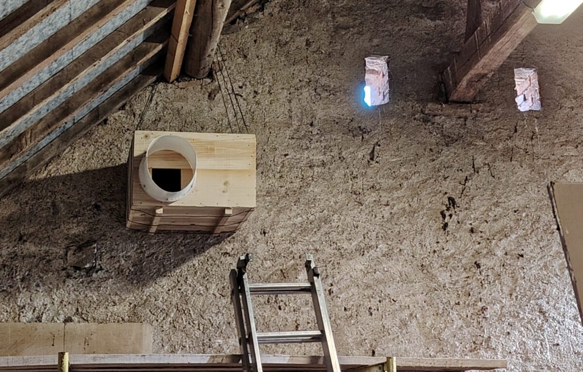 Pose de nichoirs à Poncey-les-Athee © JL Oudet