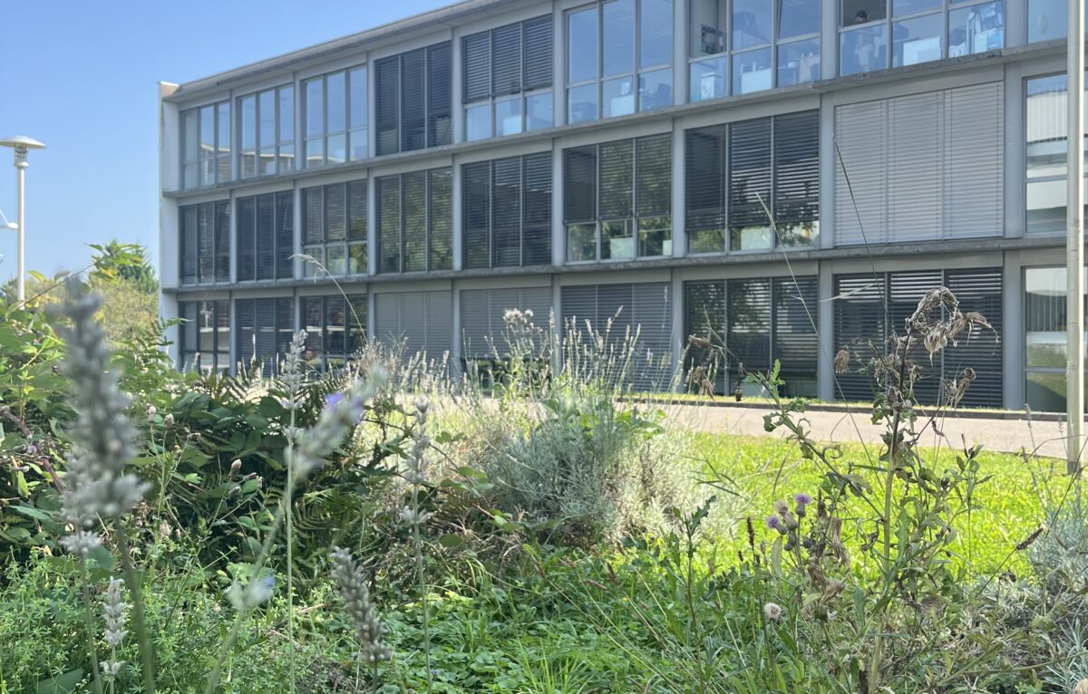 Campus à Montbéliard &copy; Direction de la communication de l'UMLP