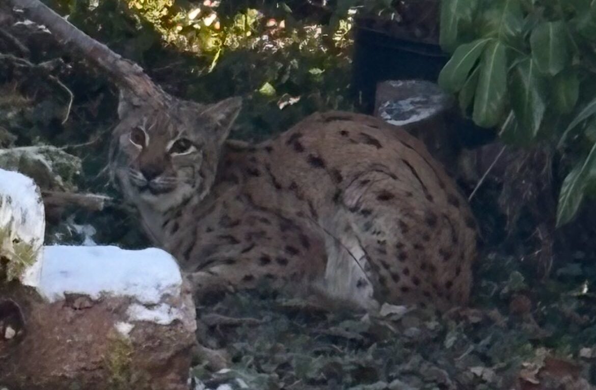  &copy; Centre Athénas