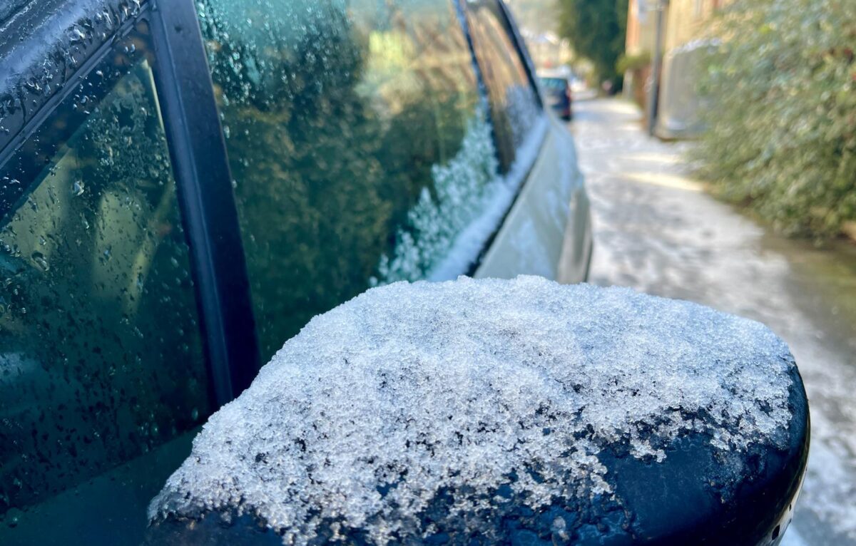  &copy; Alexane Alfaro